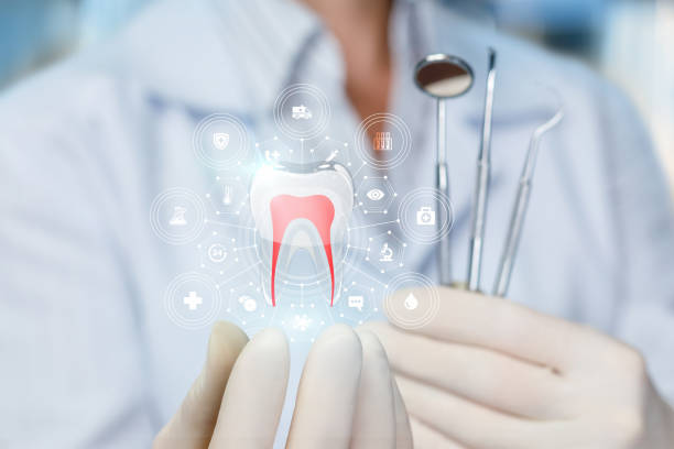 Best Dental Inlays and Onlays  in St Joseph, MN